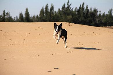 月底再见 《巫火》下一款大规模更新发布日期公布